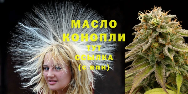 прущие грибы Абаза