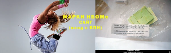 прущие грибы Абаза