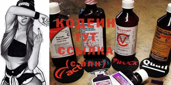 прущие грибы Абаза