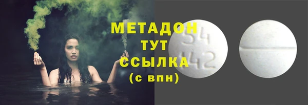 прущие грибы Абаза