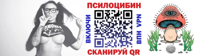 Псилоцибиновые грибы Psilocybe купить наркотики сайты Нефтеюганск